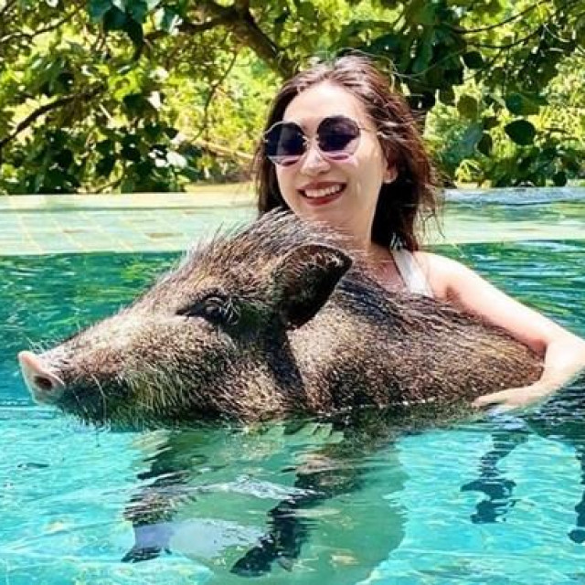 Dora i vepar u bazenu