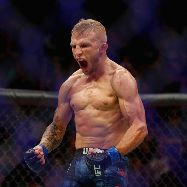 T.J. Dillashaw