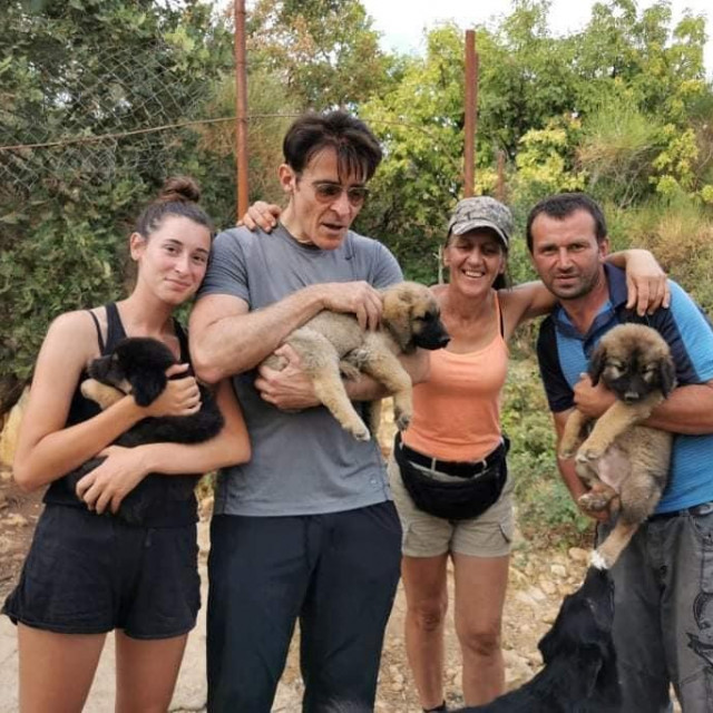 Goran Višnjić na Žarkovici
 