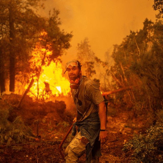 Vatrenim buktinjama nema kraja, novi požari niču u Alžiru