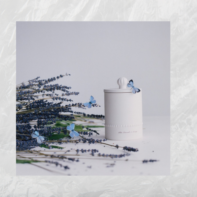 Fotografije: Instagram