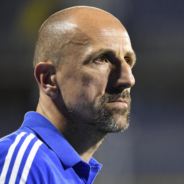 Damir Krznar