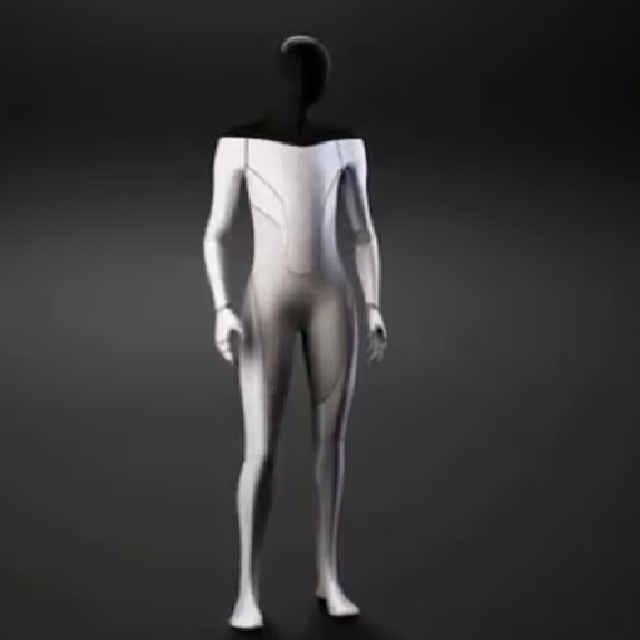 Humanoidni robot