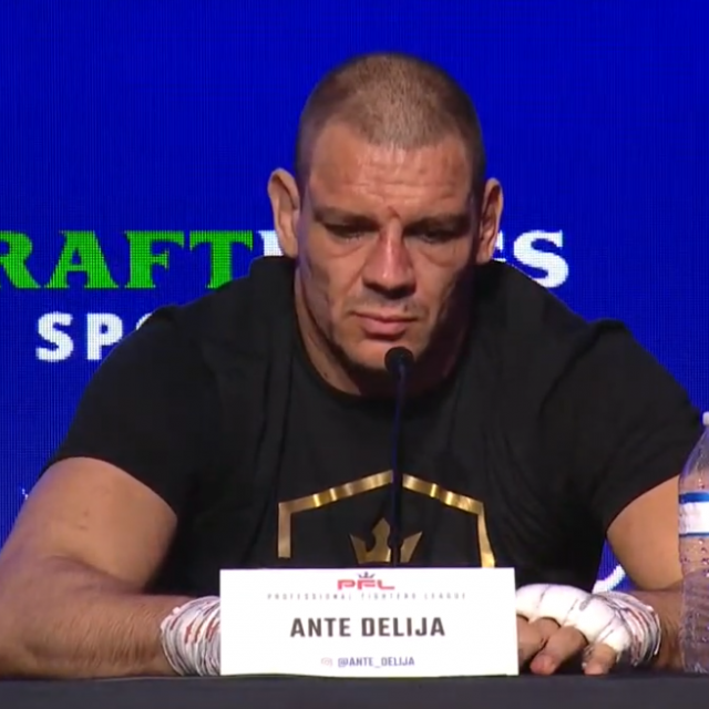 Ante Delija