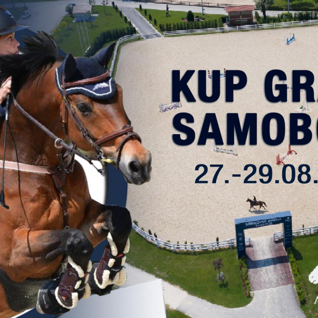 Kup Grada Samobora