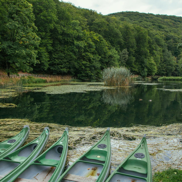 Izletište Jankovac - park prirode Papuk, UNESCO svjetski geopark.