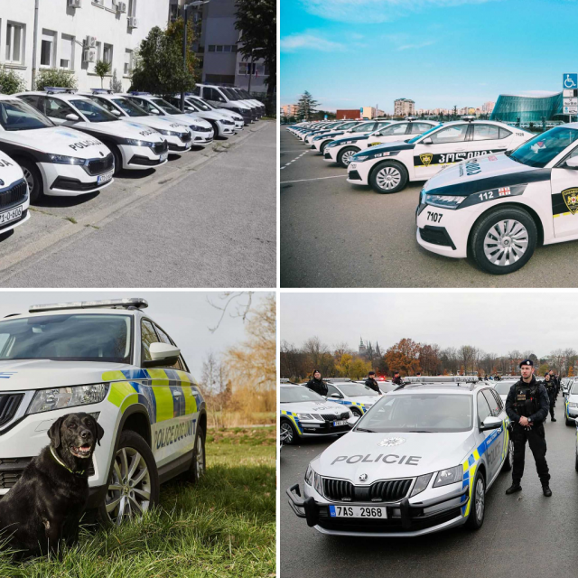 Policijske Škode
