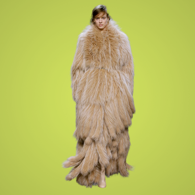 Fotografije: IMAXtree