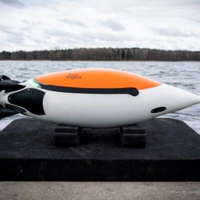 Quadroin, pingvin-robot