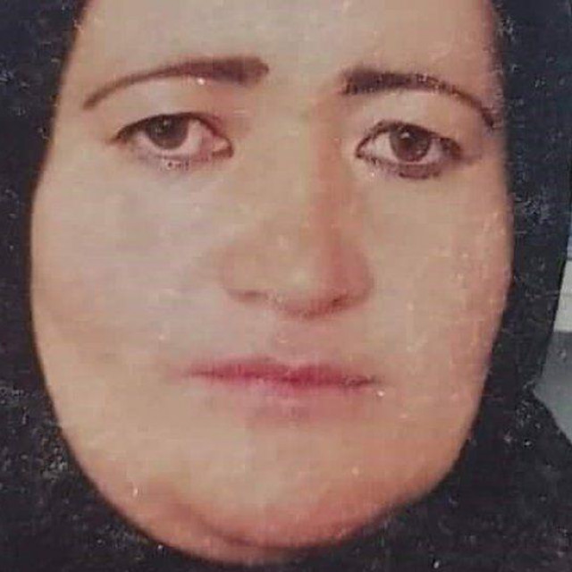 Banu Negar