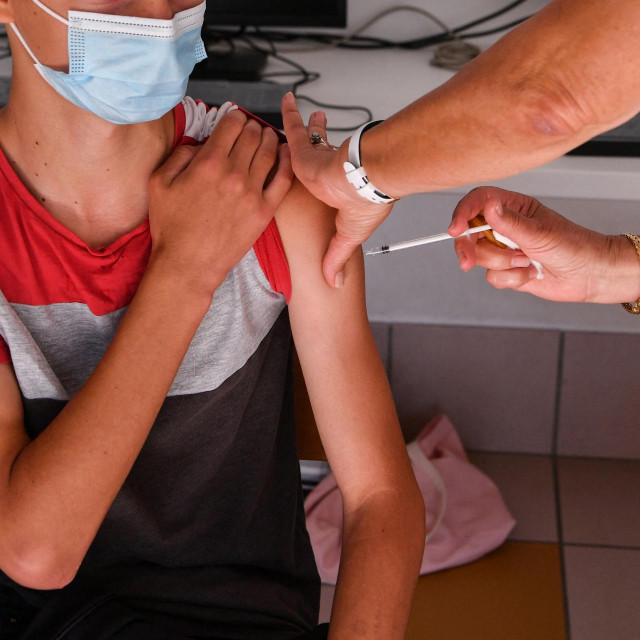 Cijepljenje, Ilustracija