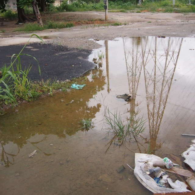 Vodene površine su mjesta odakle se denga virus najviše širi