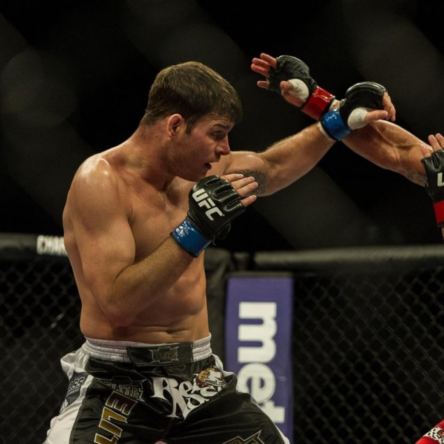 Michael Bisping vs. Vitor Belfort