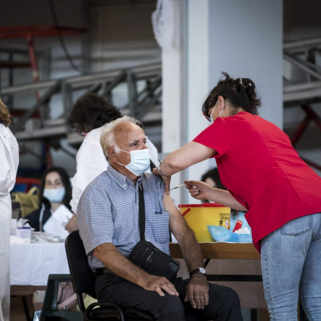 Cijepljenje; ilustracija