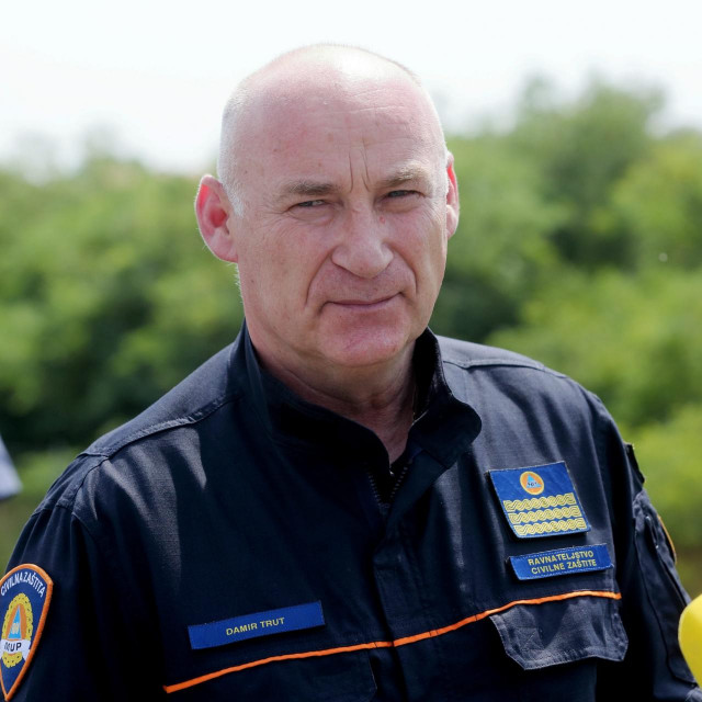 Damir Trut