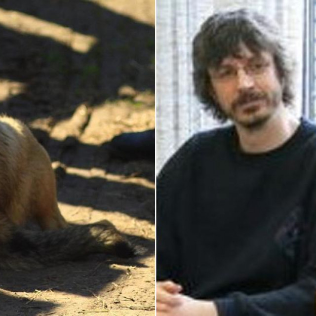 Zlostavljač pasa Ivor