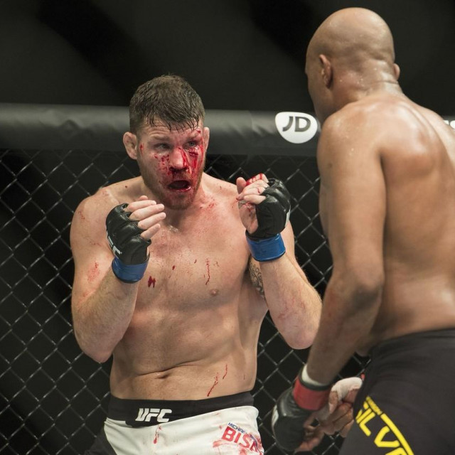 Michael Bisping vs. Anderson Silva