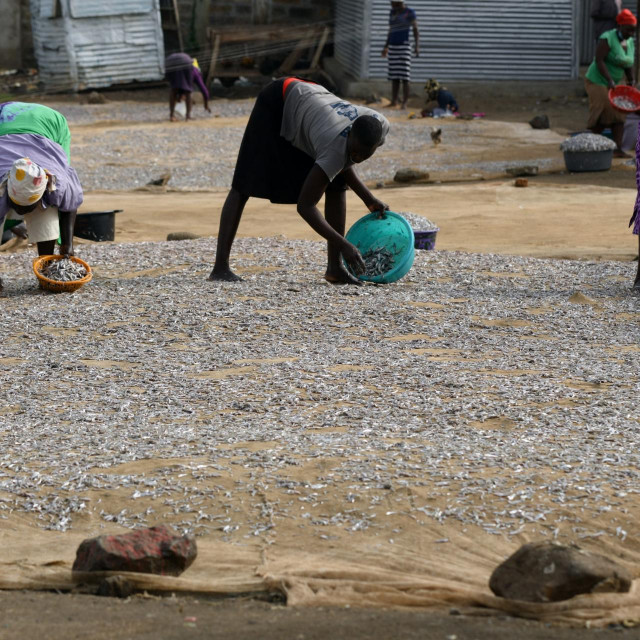 Suša u Keniji, 2021.