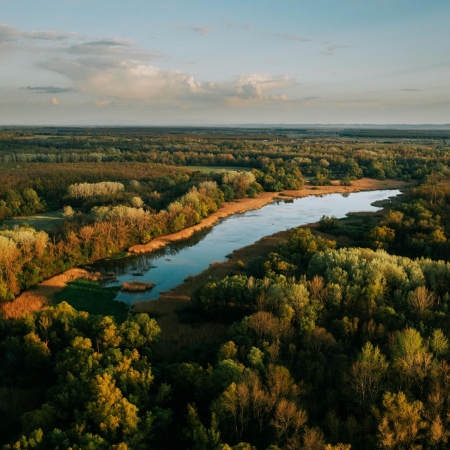 Čambina blizu Drave