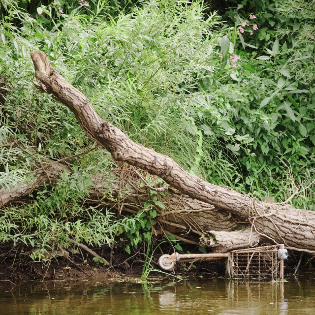 Zagađeni dio rijeke Wye u Engleskoj