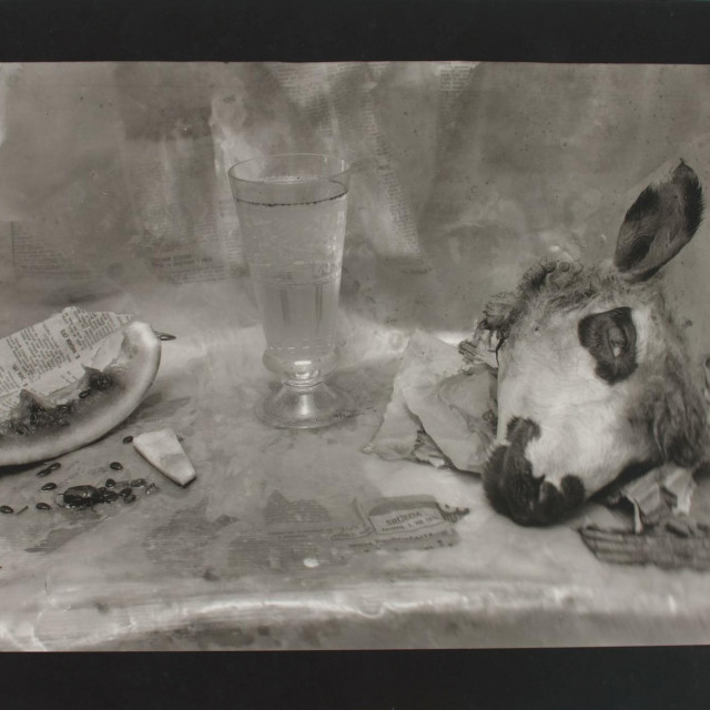 Josip Klarica: Ovčja glava II, 1979.