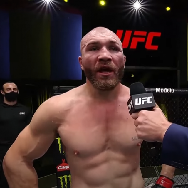 Ion Cutelaba i Michael Bisping