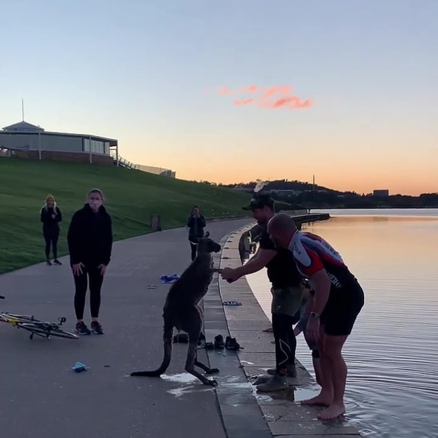 Klokan se zahvaljuje