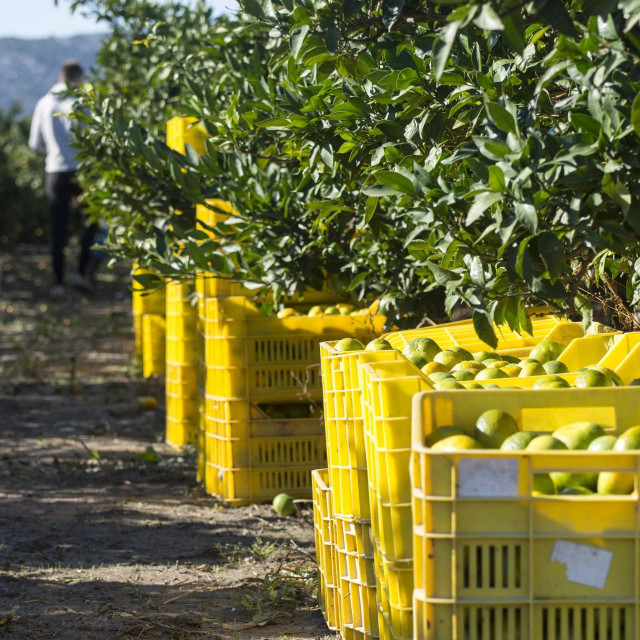 Arhivska fotografija
