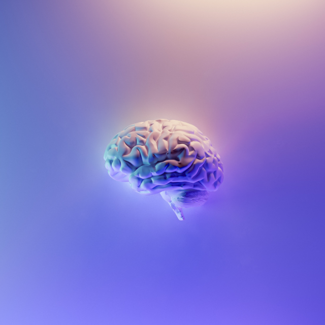 Fotografije: Unsplash