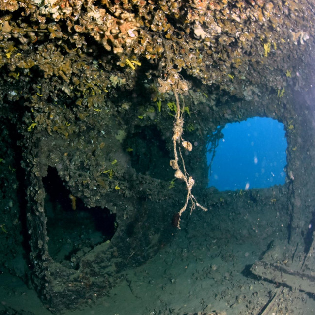 olupina broda Baron Gautsch