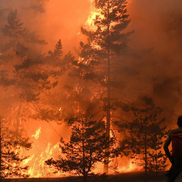 Vatrogasci se bore s požarom u Rusiji, 2021.