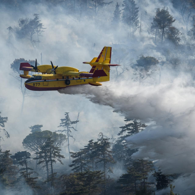 Ilustracija / Gašenje šumskog požara