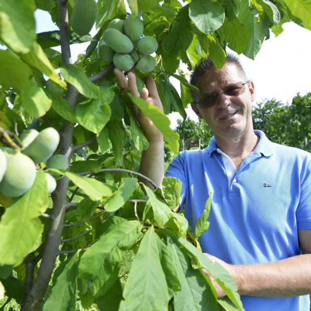 Uzgajivač egzotičnog voća Ivan Šulog