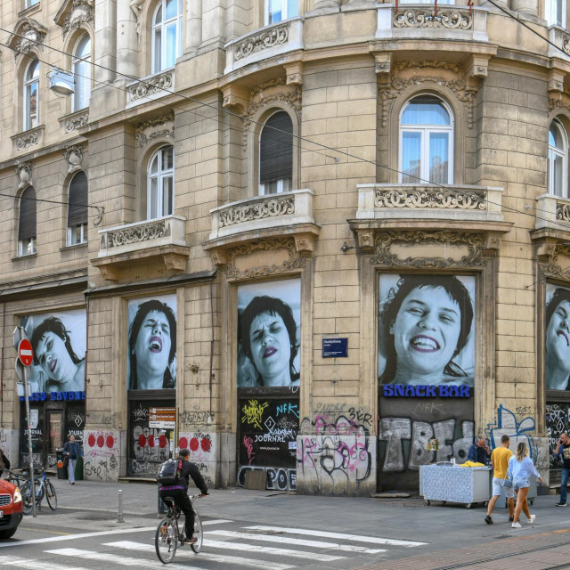 Rad Vlaste Delimar u sklopu Projekta Ilica