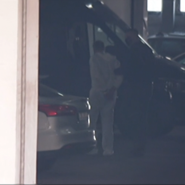 Kopitza dovode u Heinzelovu