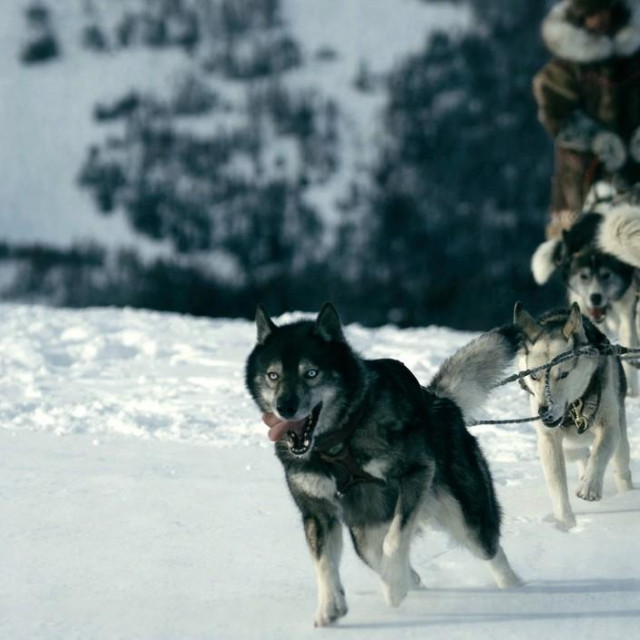 Prizor iz filma o Togu