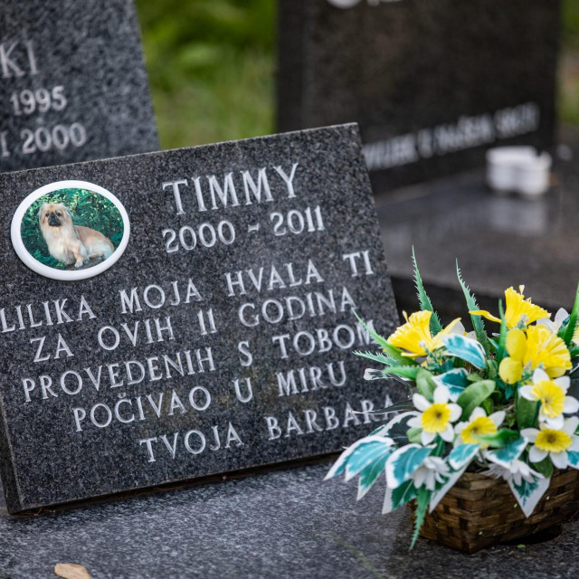 Prizor s groblja u Rijeci