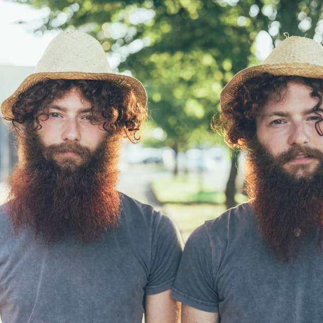 Jednojajčani blizanci/Ilustracija