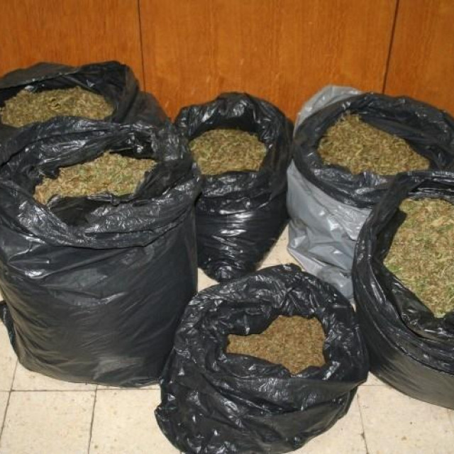 Zaplijenjena marihuana