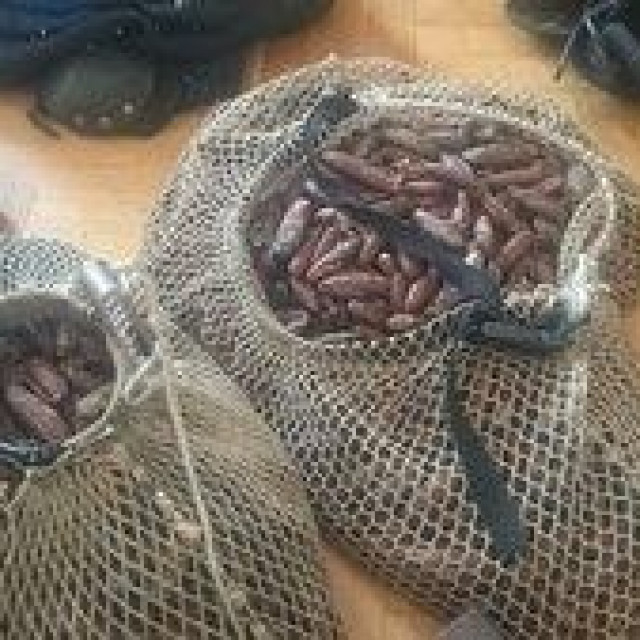 Zaplijenjeni prstaci