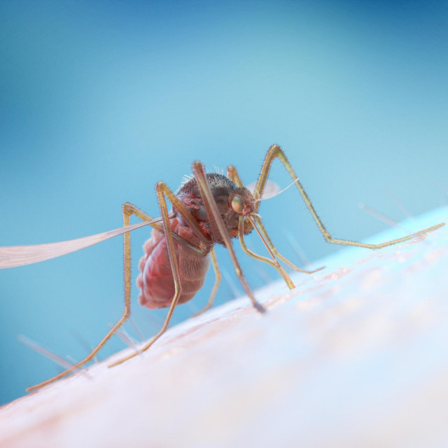 Ilustrativna fotografija