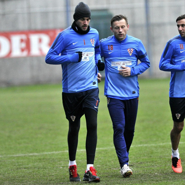 Pletikosa, Olić i Srna