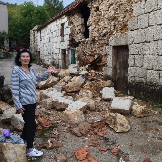 Vlasnica Senka Žitnik