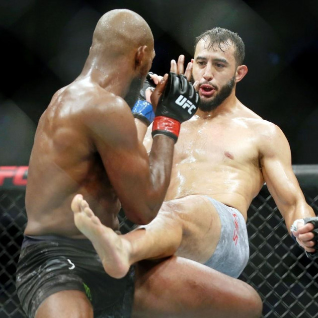 Jon Jones vs. Dominick Reyes