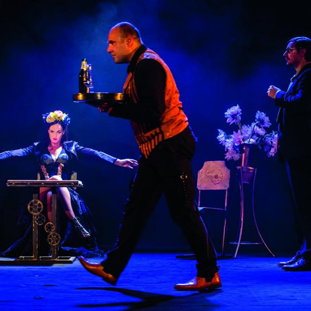 Mrožekove ”Udovice” režirao je Jasmin Novljaković