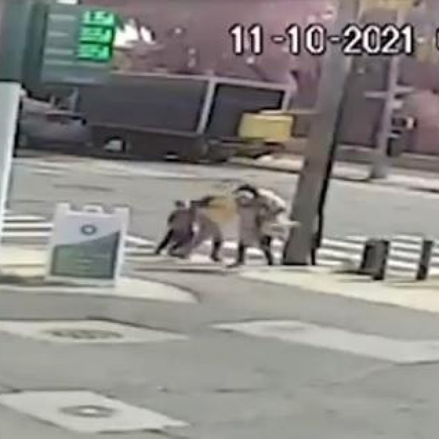 Pokušaj otmice djeteta u Bronxu