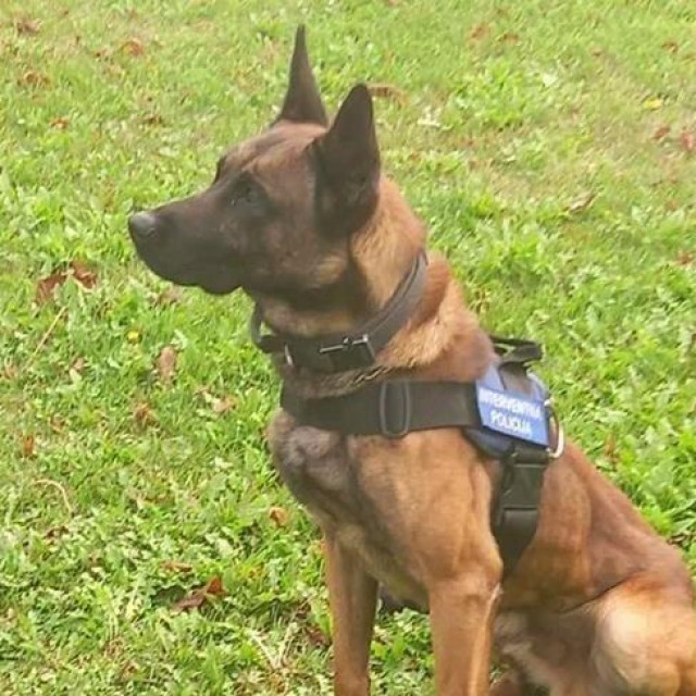 Ovo je bio Rockyjev prvi radni dan