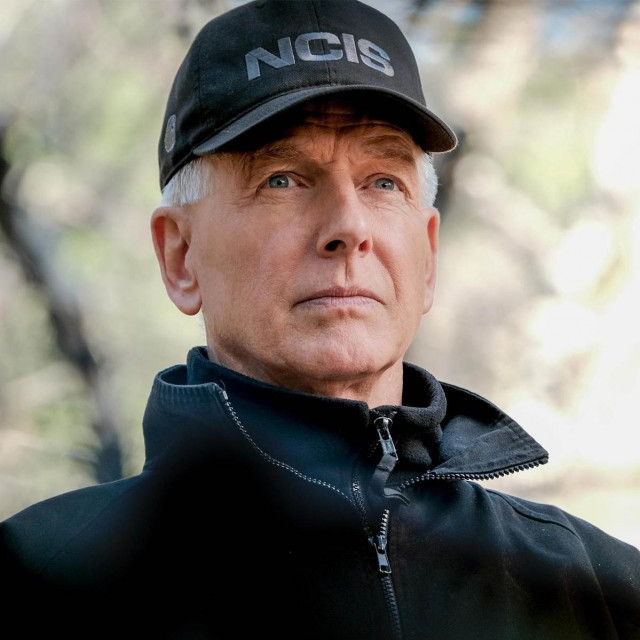 Mark Harmon