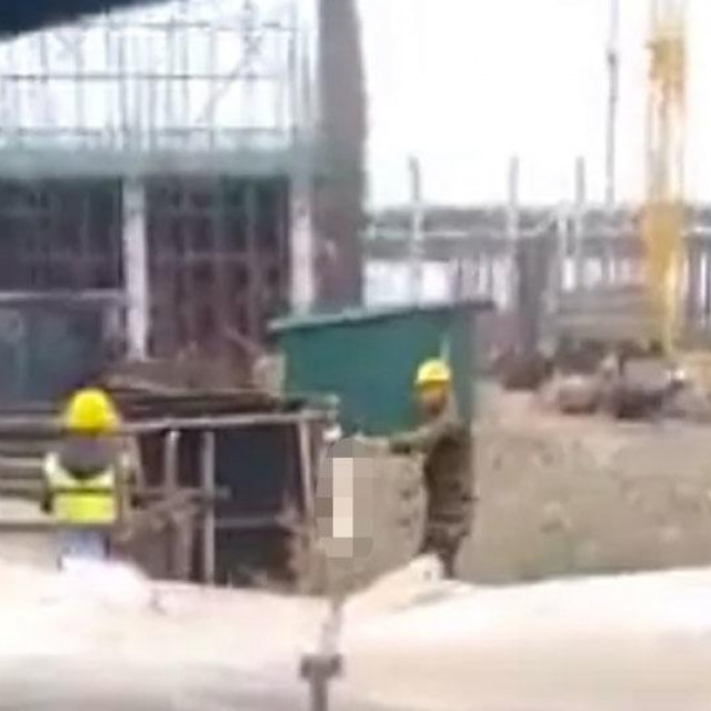 Radnici deru životinju