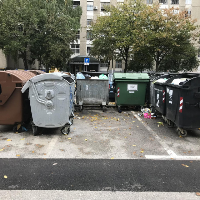 Kontejneri zauzimaju dragocjena parkirališna mjesta u Štefanićevoj